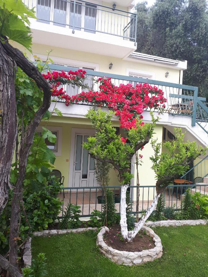 Apartments Simo Petrovac Exteriér fotografie